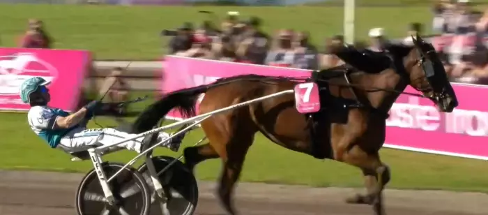FINALE DE L'ELITLOPPET 2026 et la victoire et le record du monde pulvérisé de ALLEGIANT drivé par Örjan Kihlström sur l'hippodrome de Solvalla en Suède
