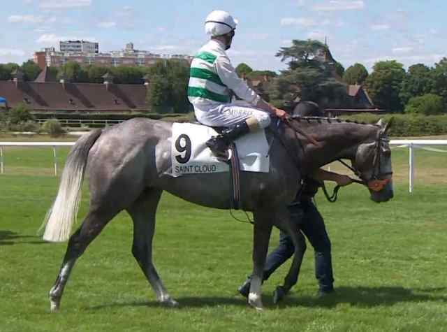 ALPINISTA (Luke MORRIS) gagnante du GRAND PRIX DE SAINT-CLOUD 2022 sur l'hippodrome de Saint-Cloud