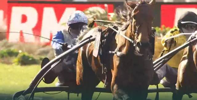 PRIX DE PARIS 2023 et la victoire d'AMPIA MEDE SM drivé par Franck NIVARD sur l'hippodrome de Paris Vincennes