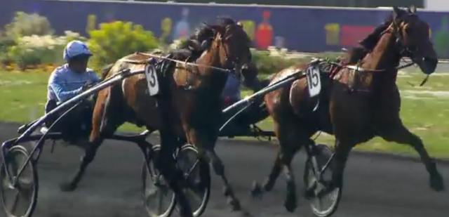 AMPIA MEDE SM drivé par Franck NIVARD gagnant du Prix du Bois de Vincennes 2022 à Vincennes