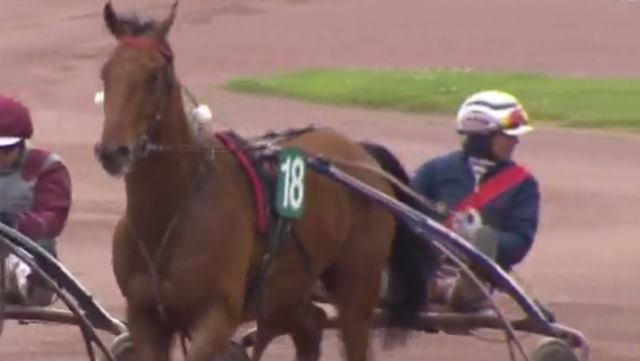 AUBRION DU GERS (Jean-Michel BAZIRE) vainqueur du Grand Prix Angers Loire Métropole 2019 à Angers