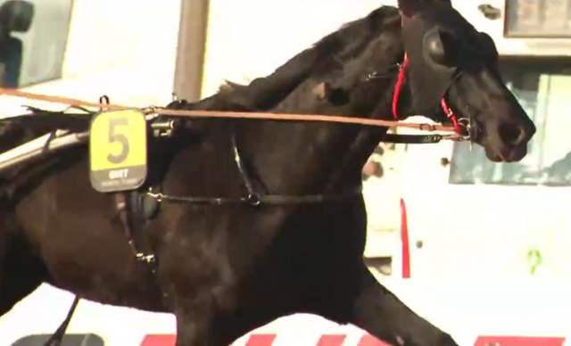 BAD JULRY (5 - Anthony BARRIER) gagnant de la 14ème étape du Grand National du Trot 2021 au Mans