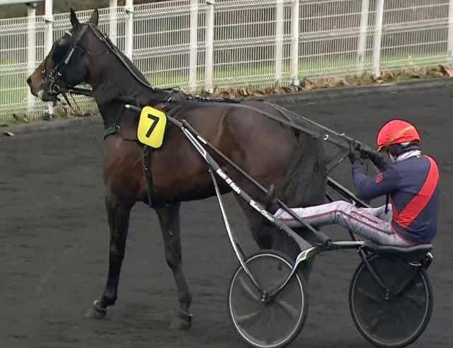PRIX DU LUXEMBOURG 2023 et la victoire de BEADS drivé par Jean-Michel BAZIRE sur l'hippodrome de Paris Vincennes