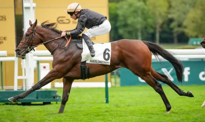 BIG LOG, le favori du quinté+ du jour à Longchamp - Super Handicap de la Rentrée (13/09/2026)