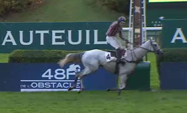 BIPOLAIRE (Gaetan MASURE vainqueur pour la 3ème fois consécutive du PRIX LA HAYE JOUSSELIN à AUTEUIL)