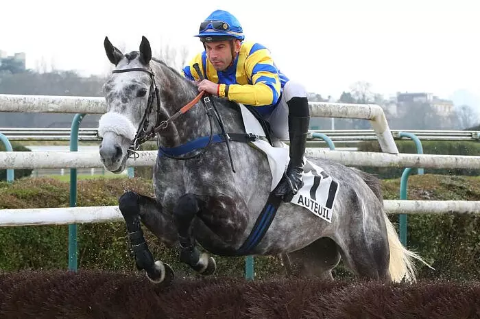 BLEKOLINA (5) le favori du quinté + du jour à Auteuil - Prix Alain Grimaux