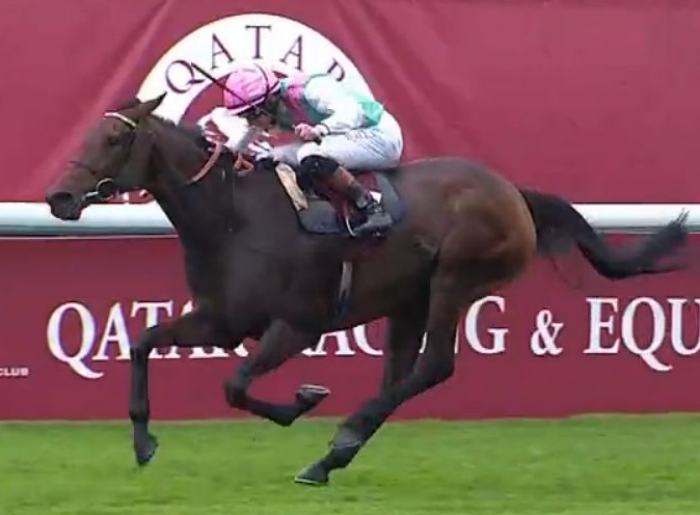 BLUESTOCKING (Rossa RYAN) gagnante du PRIX DE L'ARC DE TRIOMPHE 2024 sur l'hippodrome de Paris Longchamp