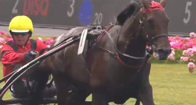 BOLD EAGLE drivé par Bjorn GOOP gagnant du PRIX RENÉ BALLIÈRE 2019 à Vincennes