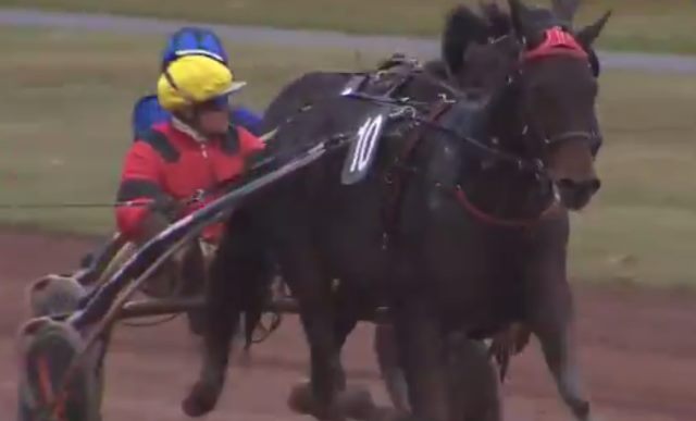 BOLD EAGLE (Franck NIVARD) gagnant du Grand Prix du Centre-Est 2018 à FEURS