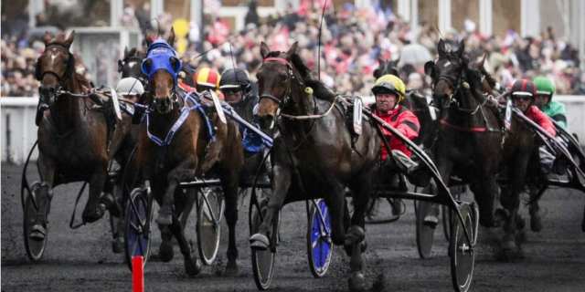 BOLD EAGLE gagnant du GRAND PRIX DE FRANCE 2016 BOLD EAGLE gagnant du GRAND PRIX DE FRANCE 2016