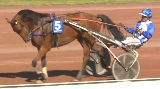 BORDEAUX S. (Eric RAFFIN) gagnant du quinté + du jour sur l'hippodrome des Sables-d'Olonne