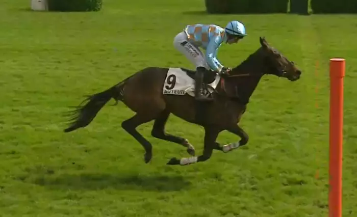 Botervia du Kalon (Thomas Beaurain) gagnante du quinté du jour à Auteuil - Prix Alain Grimaux