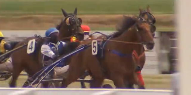 CALOU RENARDIERE drivé par Eric RAFFIN gagnant de la 6ème étape du Grand National du Trot 2020 à Laval