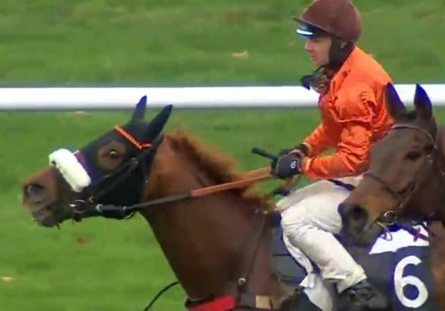 CAPODIMONTE (Lucas ZULIANI) gagnant du Prix Pierre Estrem Rey sur l'hippodrome de Pau