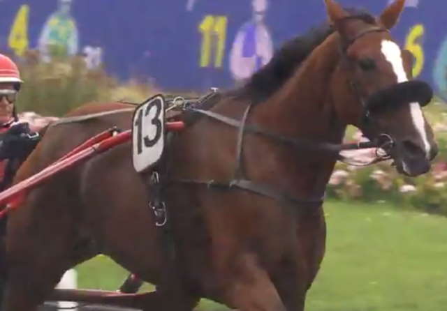 CHICA DE JOUDES (Alain LAURENT) gagnante du Grand Prix du Portugal