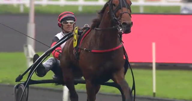 CLEANGAME (15 - Eric RAFFIN) gagnant de la Finale du Grand National du Trot 2019 à VINCENNES