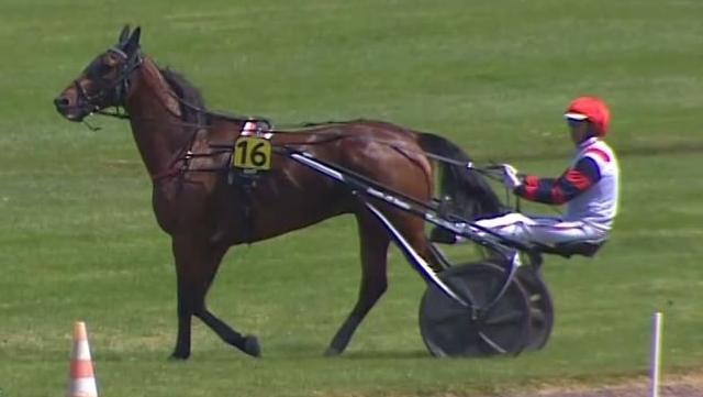 CLEANGAME (1 - Jean-Michel BAZIRE) gagnant de la 4ème étape du Grand National du Trot 2022 à Châteaubriant