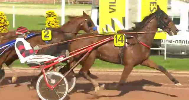 CLEANGAME (14 - Jean-Michel BAZIRE) gagnant de la 12ème étape du Grand National du Trot 2019 à NANTES