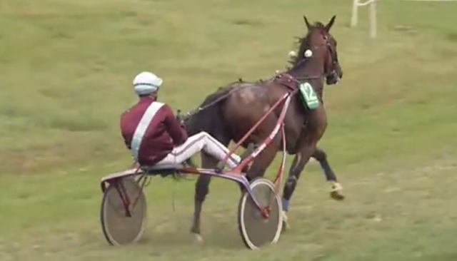 COLT DES ESSARTS drivé par François LAGADEUC vainqueur de la 12ème étape du Trophée Vert 2019 à CARENTAN