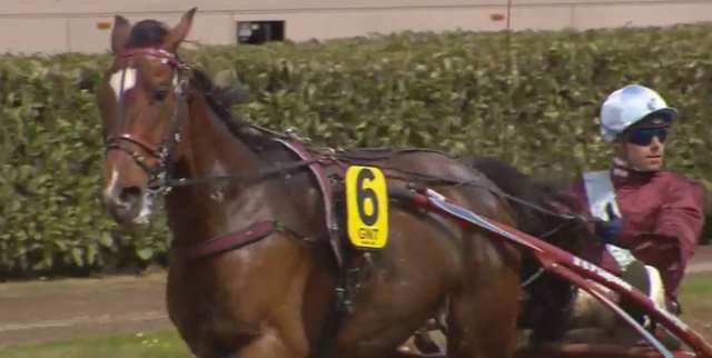 COLT DES ESSARTS (6 - François LAGADEUC) gagnant de la 3ème étape du Grand National du Trot 2019 à LYON LA-SOIE