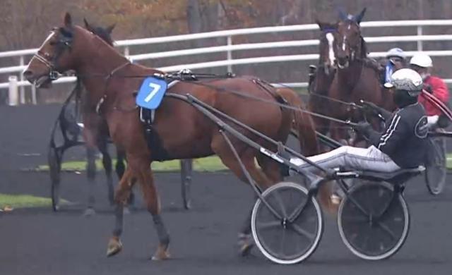 COPSI drivé par Dominik LOCQUENEUX Vainqueur du Prix Jean Dumouch 2022 sur l'hippodrome de Paris Vincennes