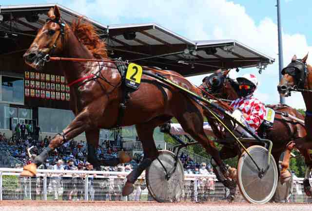 CRACK MONEY, le gagnant du Grand National du Trot 2021