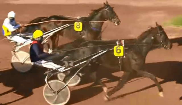 CRUSOÉ D'ANAMA drivé par Jean-Michel BAZIRE gagnant de la 12ème étape du Grand National du Trot 2020 à Nantes