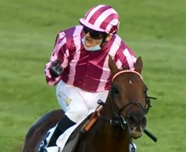DOCTEUR DE BALLON (Bertrand LESTRADE) vainqueur du GRAND STEEPLE-CHASE DE PARIS 2020 à Auteuil