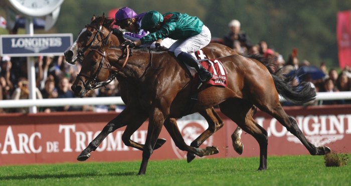 Daryz (11) monté par Mickael Barzalona vainqueur du Prix de l'Arc de Triomphe 2025 sur l'hippodrome de Paris Longchamp