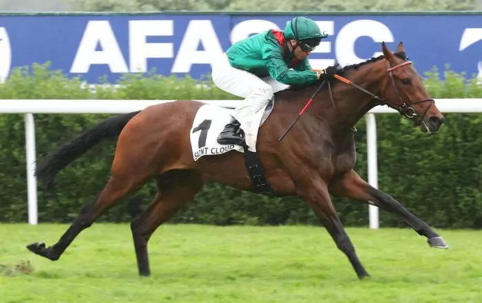 DARYZAN, le favori du Prix du Jockey Club 2026, quinté+ du jour à Chantilly (31/05/2026)