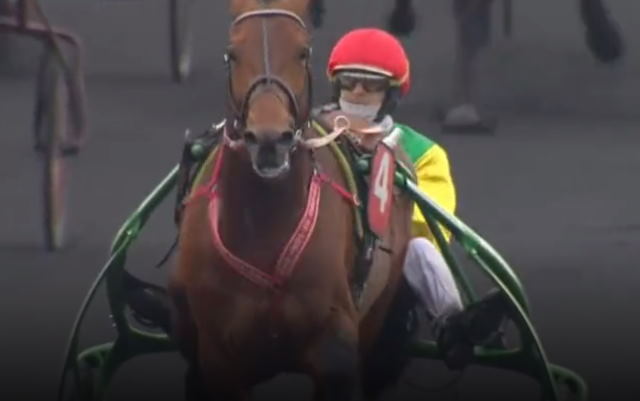 DAVIDSON DU PONT drivé par Jean-Michel BAZIRE gagnant du GRAND PRIX DE FRANCE 2020 à Vincennes
