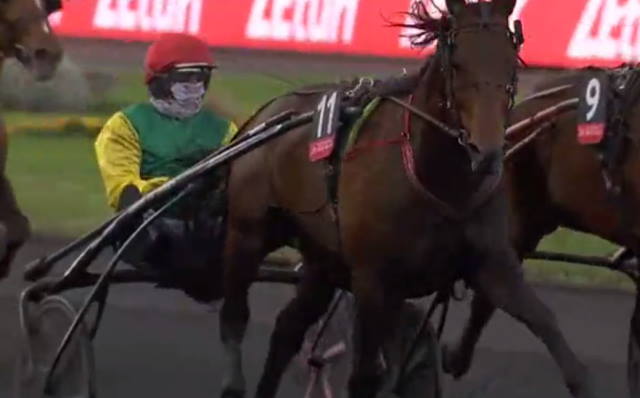 PRIX DE BELGIQUE 2021 et la victoire de DAVIDSON DU PONT drivé par Jean-Michel BAZIRE