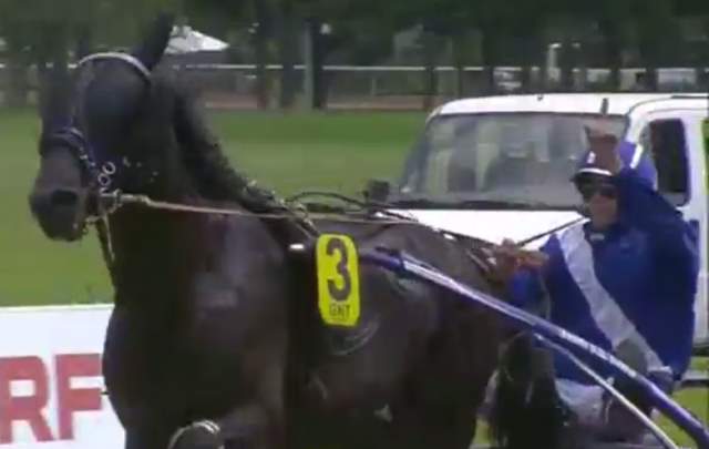 DELFINO (3 - Mathieu MOTTIER) gagnant de la 7ème étape du Grand National du Trot 2019 à REIMS