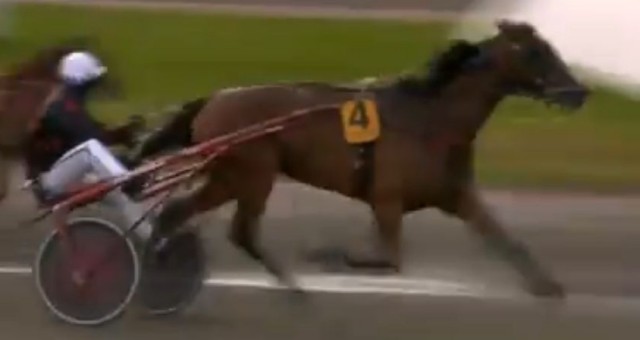 DELIA DU POMMEREUX (Eric RAFFIN) PARALYMPIATRAVET FINAL 2021 à ABY GOTEBORG Suède