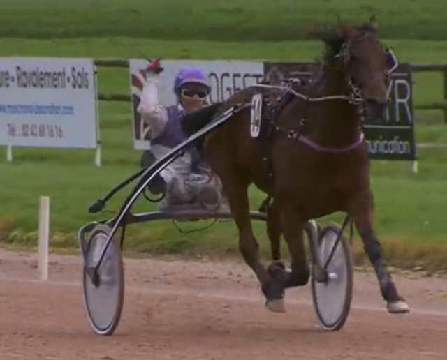 VIKING D'HERMÈS 11 ans drivé par Eric RAFFIN remporte le quinté + du jour à Laval