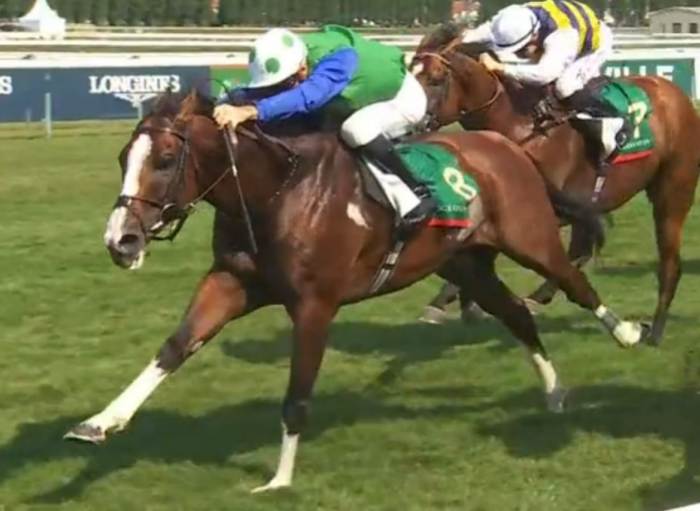 DIEGO VELAZQUEZ (Christophe SOUMILLON) gagnant du PRIX JACQUES LE MAROIS 2025 sur l'hippodrome de Deauville