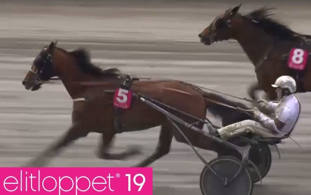 DIJON drivé par Romain DERIEUX gagnant de l'ELITLOPPET 2019 DIJON drivé par Romain DERIEUX gagnant de l'ELITLOPPET 2019