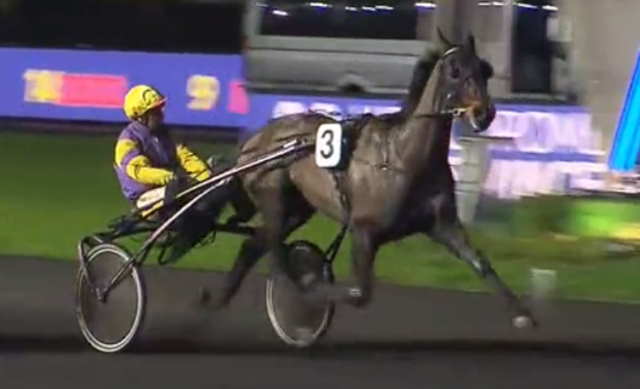 DOMINO DREAM (Yoann LEBOURGEOIS) vainqueur du dernier quinté + en nocturne à VINCENNES