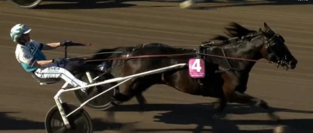 DON FANUCCI ZET (Orjan KIHLSTROM) vainqueur de l'ELITLOPPET 2021 à Solvalla en Suède