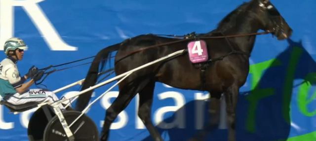 DON FANUCCI ZET (Orjan KIHLSTROM) vainqueur de l'ELITLOPPET 2021 à Solvalla en Suède