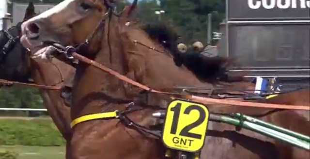 DORGOS DE GUEZ (12 - Jean-Michel BAZIRE) gagnant de la 8ème étape du Grand National du Trot 2019 à SAINT-MALO