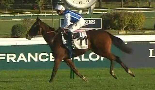 DOUBLE MAJOR (Maxime GUYON) gagnante du PRIX ROYAL OAK 2023 sur l'hippodrome de Longchamp