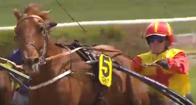 DREAM DE LASSERIE (5 - Romain DERIEUX) gagnant de la 4ème étape du Grand National du Trot 2019 à BEAUMONT-DE-LOMAGNE