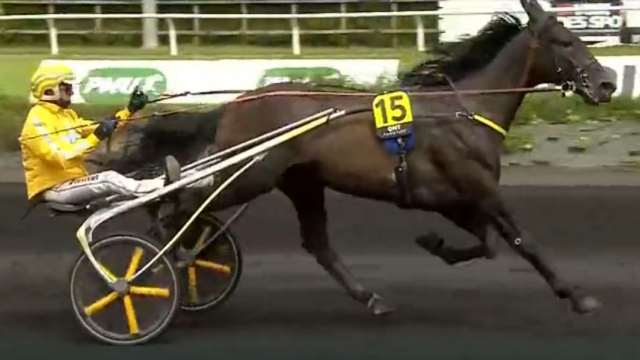 EARL SIMON (15 - Franck OUVRIE) gagnant de la 5ème étape du Grand National du Trot 2022 au Croisé-Laroche