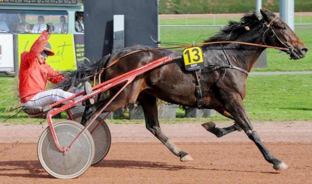 ECHO DE CHANCELY, le gagnant du Grand National du Trot 2022