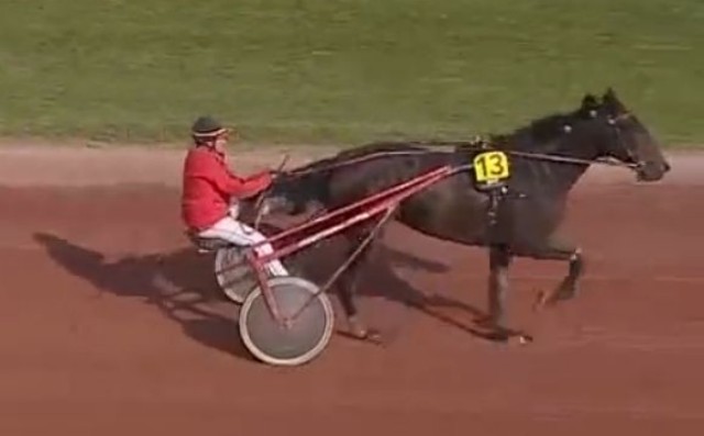 ECHO DE CHANLECY (13 - Anthony TINTILLIER) gagnant de la 12ème étape du Grand National du Trot 2022 à Feurs