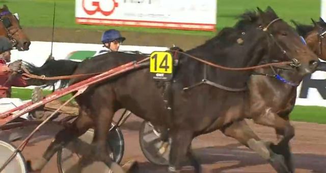 ECHO DE CHANLECY (14 - Tony LE BELLER) gagnant de la 13ème étape du Grand National du Trot 2022 à Nantes