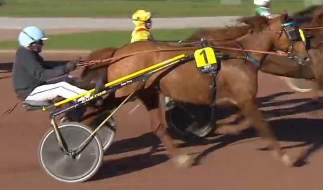 EDDY DU VIVIER (1 - Franck NIVARD) gagnant de la 13ème étape du Grand National du Trot 2021 à NANTES