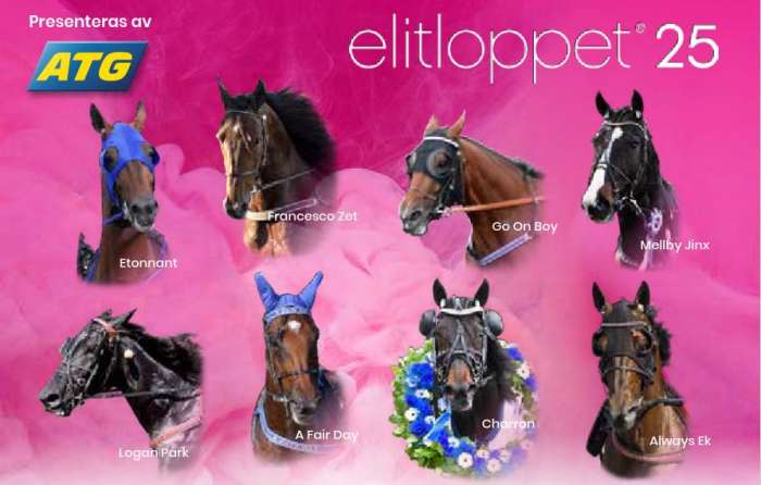Portraits des Partants de la 1ère Batterie de l'ELITLOPPET 2025 à SOLVALLA en Suède Portraits des Partants de la 1ère Batterie de l'ELITLOPPET 2025 à SOLVALLA en Suède