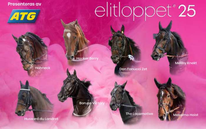 Portraits des Partants de la 1ère Batterie de l'ELITLOPPET 2025 à SOLVALLA en Suède Portraits des Partants de la 1ère Batterie de l'ELITLOPPET 2025 à SOLVALLA en Suède